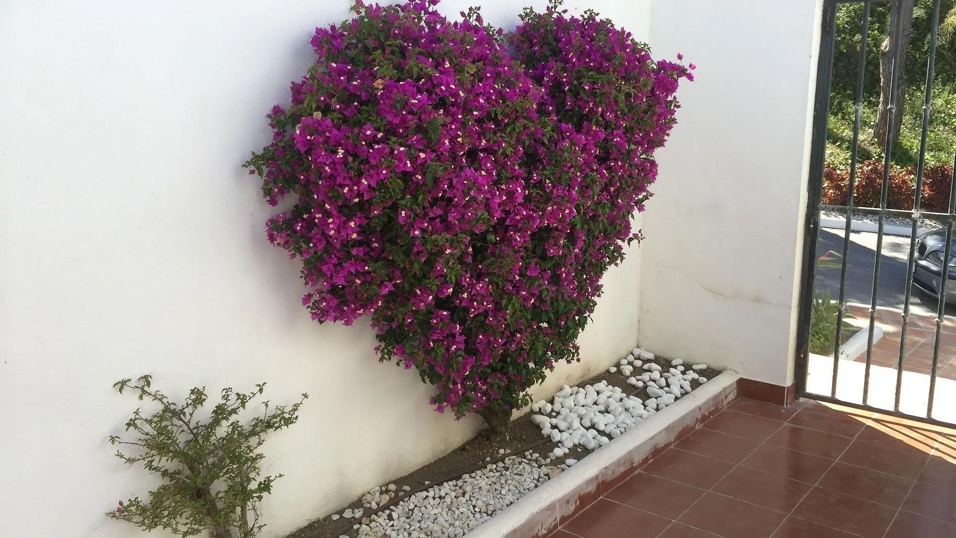 מארבלה Amazing Front Line Golf Detached Villa 0*,